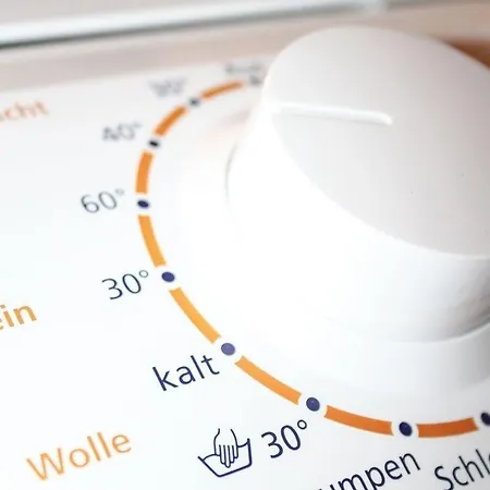 Apartman Friesenpalme
